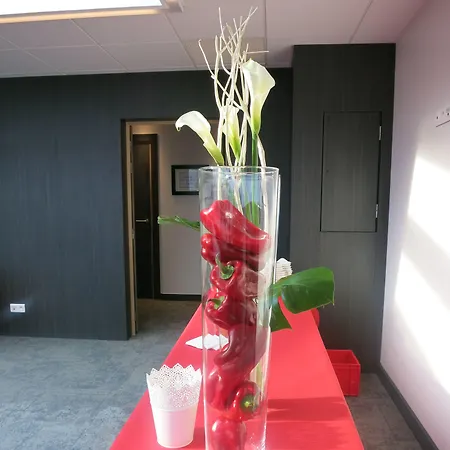 The Originals Boutique, D'alsace, Strasbourg Sud 3* Illkirch-Graffenstaden